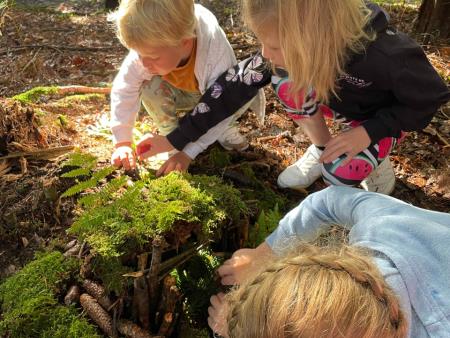 Gozdna raziskovalnica